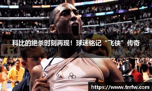 易倍emc体育官网