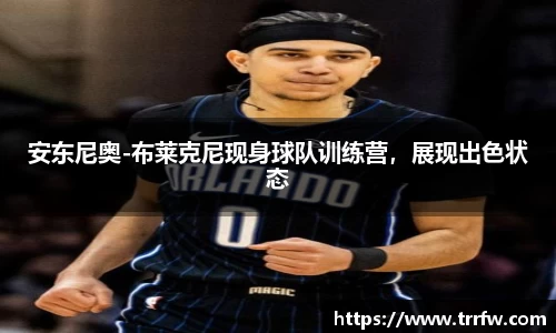 易倍emc体育网址