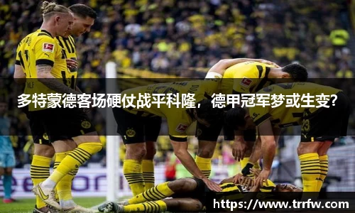 易倍emc体育APP