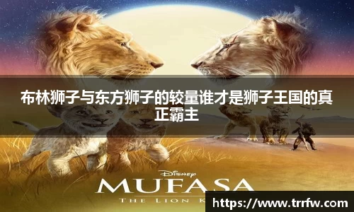 易倍emc体育网址